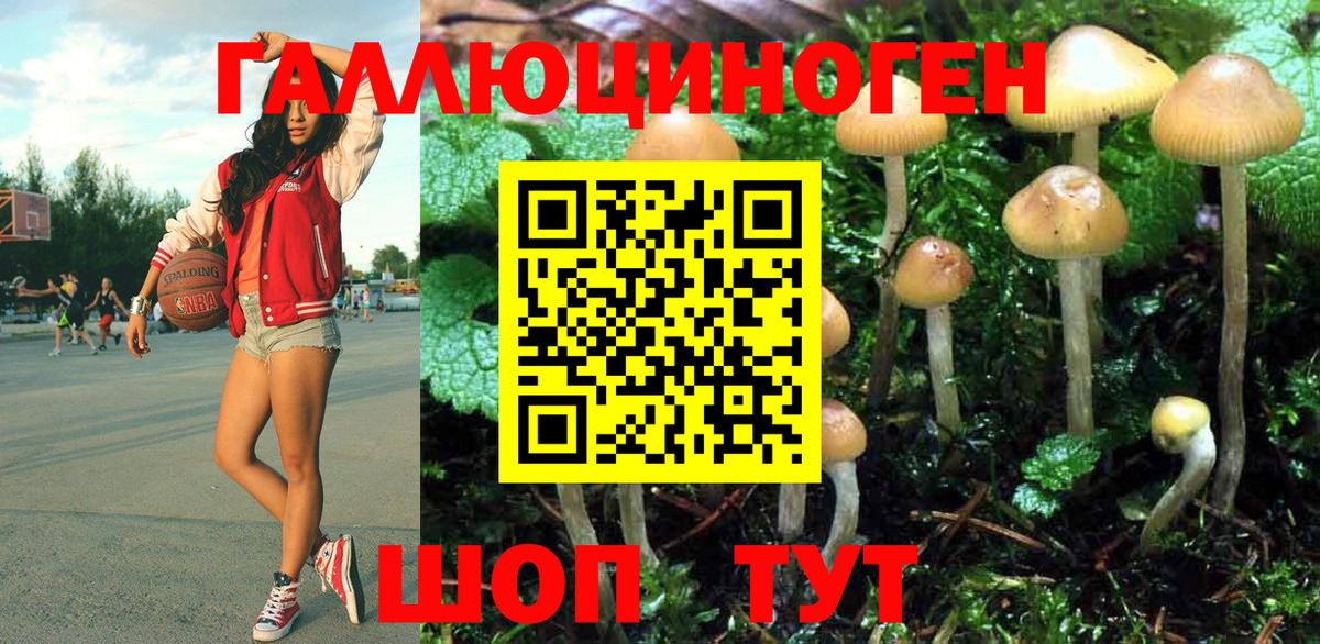 Псилоцибиновые грибы мухоморы  Вход с VPN  купить закладку  Фурманов  Псилоцибиновые грибы Cubensis 